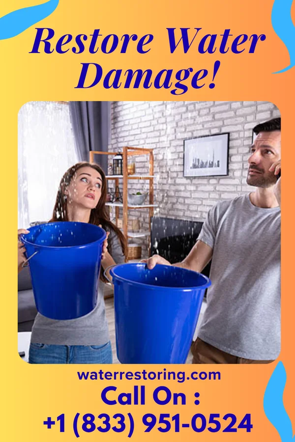 water restoration Reliable Disaster Cleanup Group Walkerville