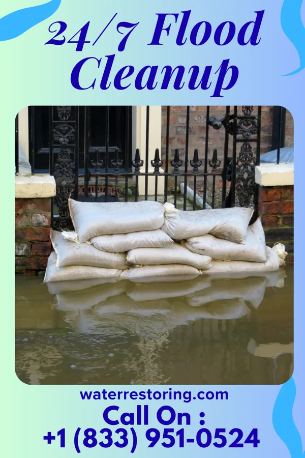 24/7 Flood Cleanup in Walkerville, MI