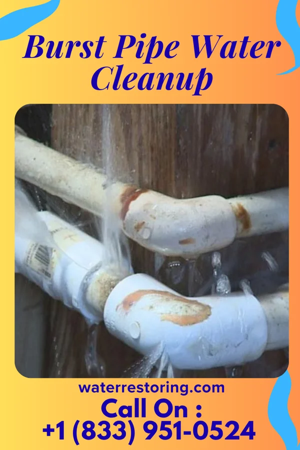 Burst Pipe Water Cleanup in Walkerville, MI