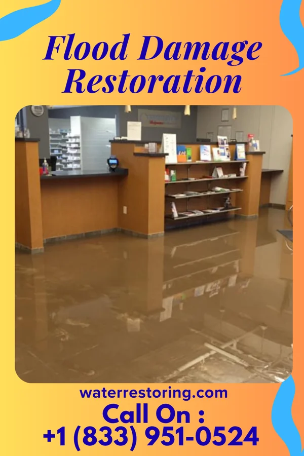 Flood Damage Restoration in Walkerville, MI
