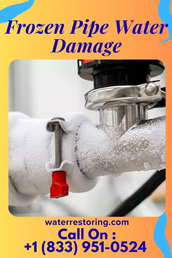 Frozen Pipe Water Damage in Walkerville, MI