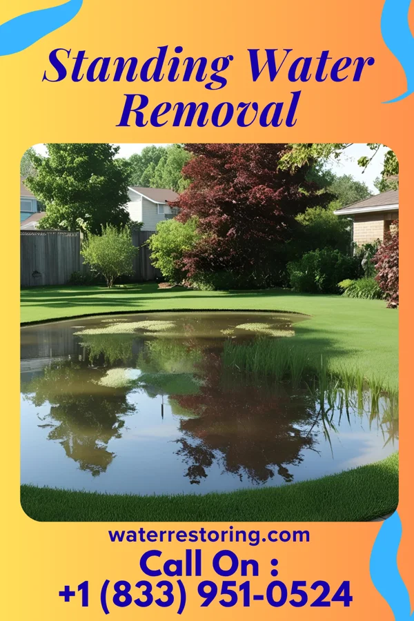 Standing Water Removal in Walkerville, MI